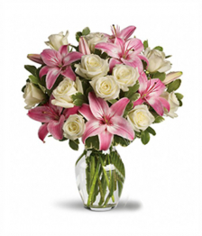 Designer Collection Anniversary II